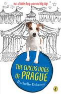 The Circus Dogs of Prague