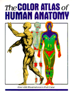 The Color Atlas of Human Anatomy: Nuovo Atlante del Corpo Umano. - Vannini, Vanio (Editor), and Pogliani, Giuliano (Photographer)