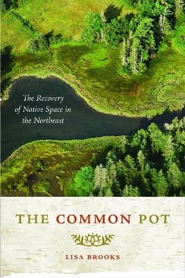 The Common Pot: The Recovery of Native Space in the Northeast - Brooks, Lisa
