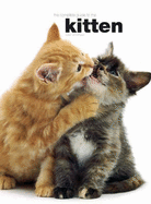 The Complete Guide to the Kitten