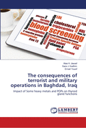 The consequences of terrorist and military operations in Baghdad, Iraq