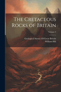 The Cretaceous Rocks of Britain; Volume 3