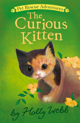 The Curious Kitten - Webb, Holly