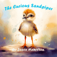The Curious Sandpiper