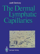 The dermal lymphatic capillaries