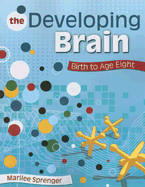 The Developing Brain: Birth to Age Eight