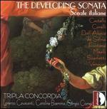 The Developing Sonata