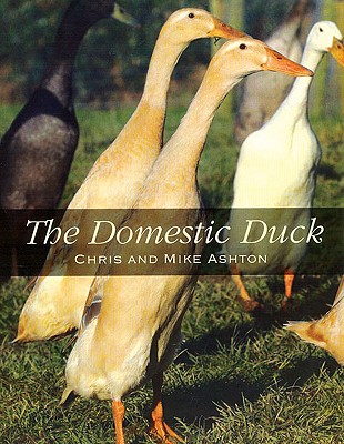 The Domestic Duck - Ashton, Chris, and Ashton, Mike