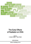 The Early Effects of Radiation on DNA