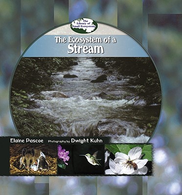 The Ecosystem of a Stream - Pascoe, Elaine