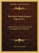 The Edwin Smith Surgical Papyrus V2: Facsimile Plates And Line For Line Hieroglyphic Transliteration