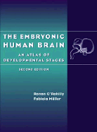 The Embryonic Human Brain: An Atlas of Developmental Stages - O'Rahilly, Ronan R, and Mller, Fabiola