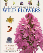 The encyclopedia of wild flowers
