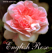 The English Rose - Austin, David