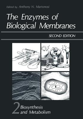 The Enzymes of Biological Membranes: Volume 2 Biosynthesis and Metabolism - Martonosi, Anthony (Editor)