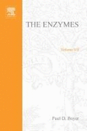 The Enzymes