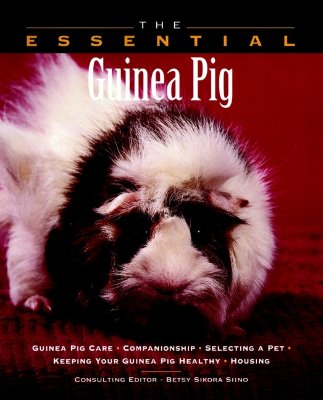 The Essential Guinea Pig - Siino, Betsy Sikora (Editor), and Howell Book House, and Stockdale, Renee (Photographer)