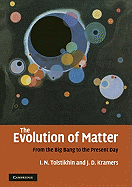 The Evolution of Matter: From the Big Bang to the Present Day