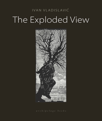 The Exploded View - Vladislavic, Ivan