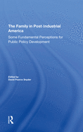The Family in Postindustrial America: Some Fundamental Perceptions for Public Policy Development