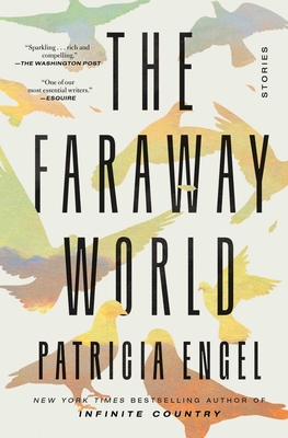 The Faraway World: Stories - Engel, Patricia