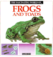 The Fascinating World of Frogs and Toads - Julivert, Maria Angels, and Arridondo, F (Illustrator), and Marcel Socias Studio (Illustrator)
