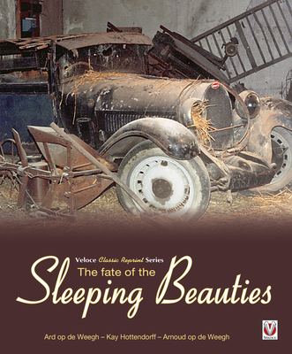 The Fate of the Sleeping Beauties - op de Weegh, Ard