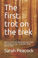 The first trot on the trek: How to overcome depression and enjoy the power of now - A journey from dark to light