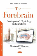 The Forebrain: Development, Physiology and Functions