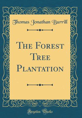 The Forest Tree Plantation (Classic Reprint) - Burrill, Thomas Jonathan