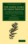 The Fossil Flora of Great Britain; Or, Figures and Descriptions of the Vegetable Remains Found in a Fossil State in This Country Volume 3