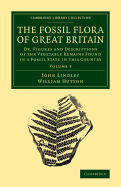 The Fossil Flora of Great Britain: Or, Figures and Descriptions of the Vegetable Remains Found in a Fossil State in this Country