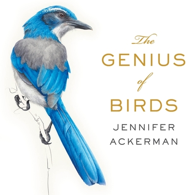 The Genius of Birds Lib/E - Ackerman, Jennifer, and Strom, Margaret (Read by)