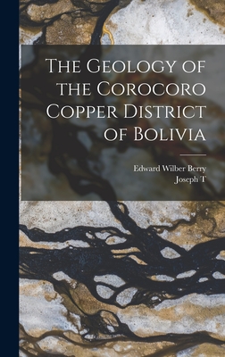 The Geology of the Corocoro Copper District of Bolivia - Berry, Edward Wilber, and Singewald, Joseph T 1884-1963