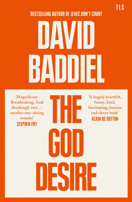 The God Desire - Baddiel, David