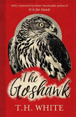 The Goshawk: With a foreword by Helen Macdonald - White, T. H.
