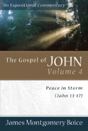 The Gospel of John - Peace in Storm (John 13-17)