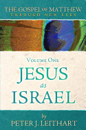 The Gospel of Matthew Through New Eyes Volume One: Jesus as Israel