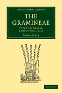 The Gramineae: A Study of Cereal, Bamboo and Grass