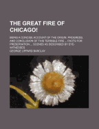 The Great Fire of Chicago!: Being a Concise Account of the Origin, Progress, and Conclusion of This Terrible Fire ... Facts for Preservation ... Scenes as Described by Eye-Witnesses