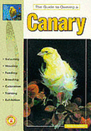 The Guide to Owning a Canary