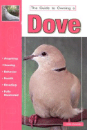 The Guide to Owning a Dove