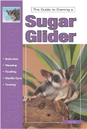 The Guide to Owning a Sugar Glider
