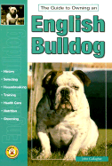 The Guide to Owning an English Bulldog