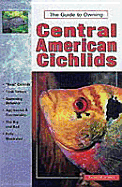 The Guide to Owning Central American Cichlids