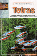 The guide to owning tetras