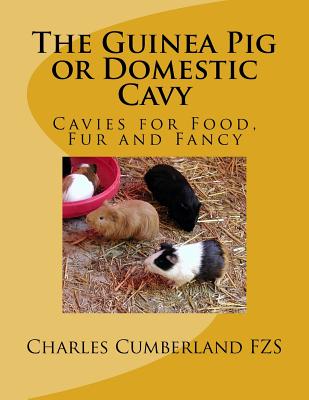 The Guinea Pig or Domestic Cavy: Cavies for Food, Fur and Fancy - Chambers, Jackson (Introduction by), and Cumberland Fzs, Charles