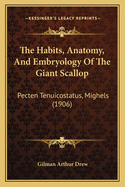 The Habits, Anatomy, and Embryology of the Giant Scallop, (Pecten Tenuicostatus, Mighels)