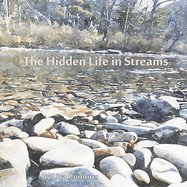 The Hidden Life in Streams