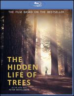 The Hidden Life of Trees [Blu-ray] - Jan Haft; Jrg Adolph